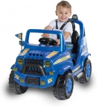 CARRO DE PASSEIO DIIPI POLICIA CALESITA