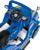 CARRO DE PASSEIO DIIPI POLICIA CALESITA