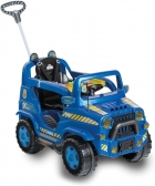 CARRO DE PASSEIO DIIPI POLICIA CALESITA