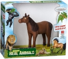 Mini Fazenda Diversos